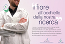 Ricerca